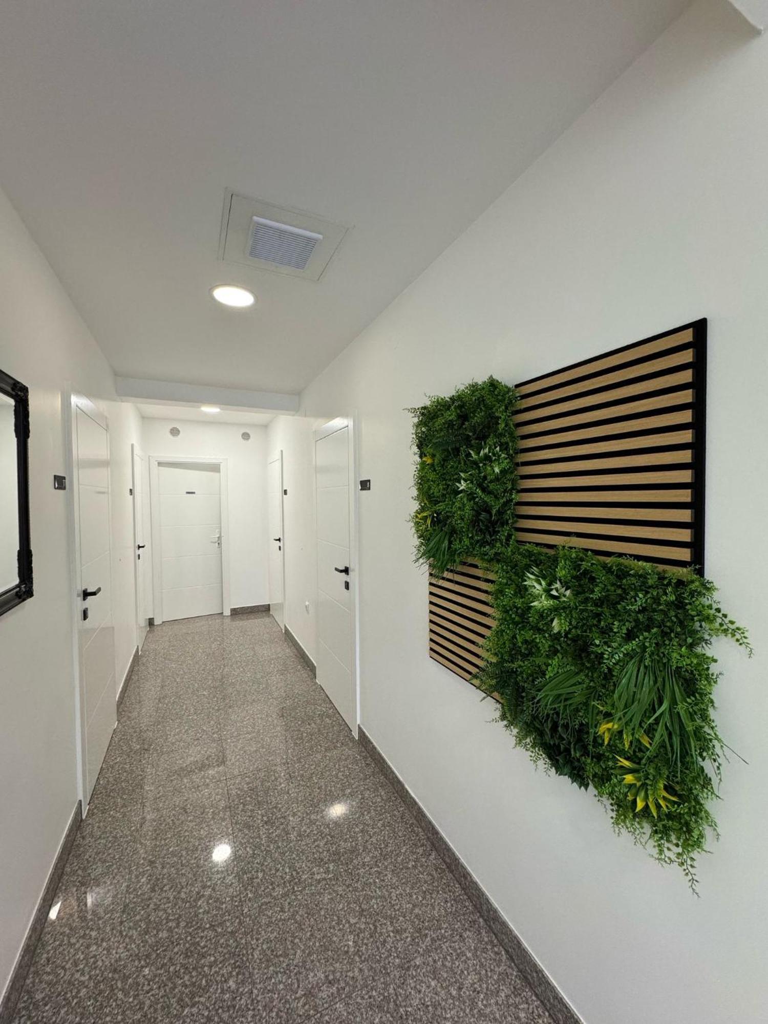 Villa Simovic Apartments Baska Voda Exterior photo